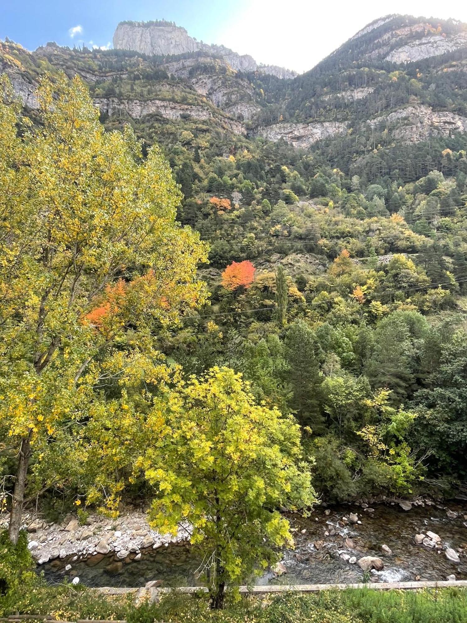 Calmfranc Atico Abuhardillado Con Vistas Al Rio Y La Montana Avistamiento De Ciervos En Canfranc Pueblo Εξωτερικό φωτογραφία