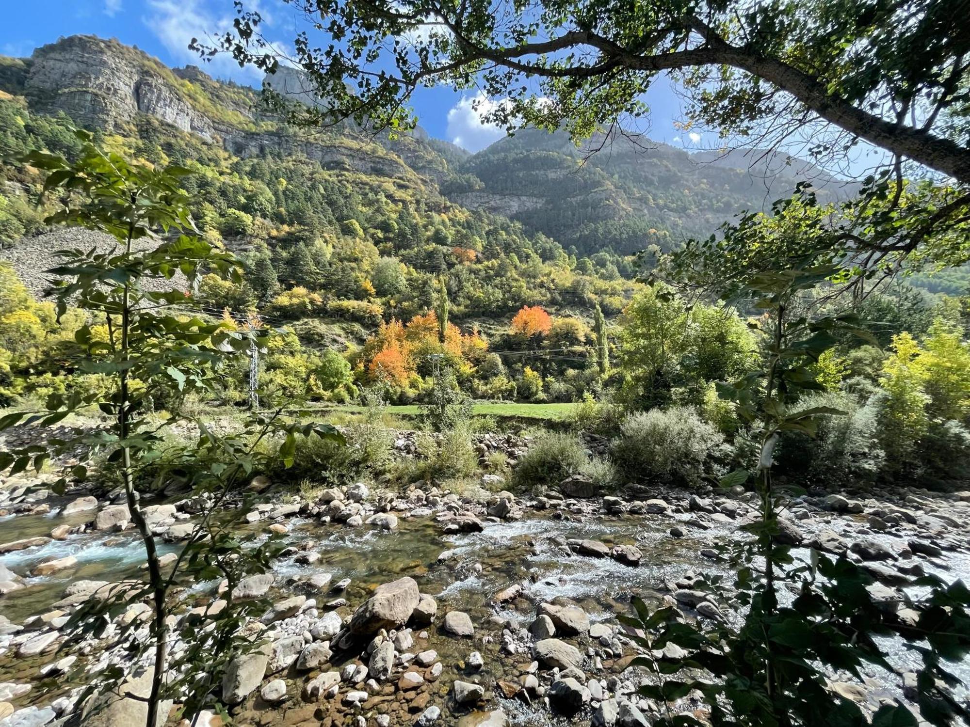 Calmfranc Atico Abuhardillado Con Vistas Al Rio Y La Montana Avistamiento De Ciervos En Canfranc Pueblo Εξωτερικό φωτογραφία