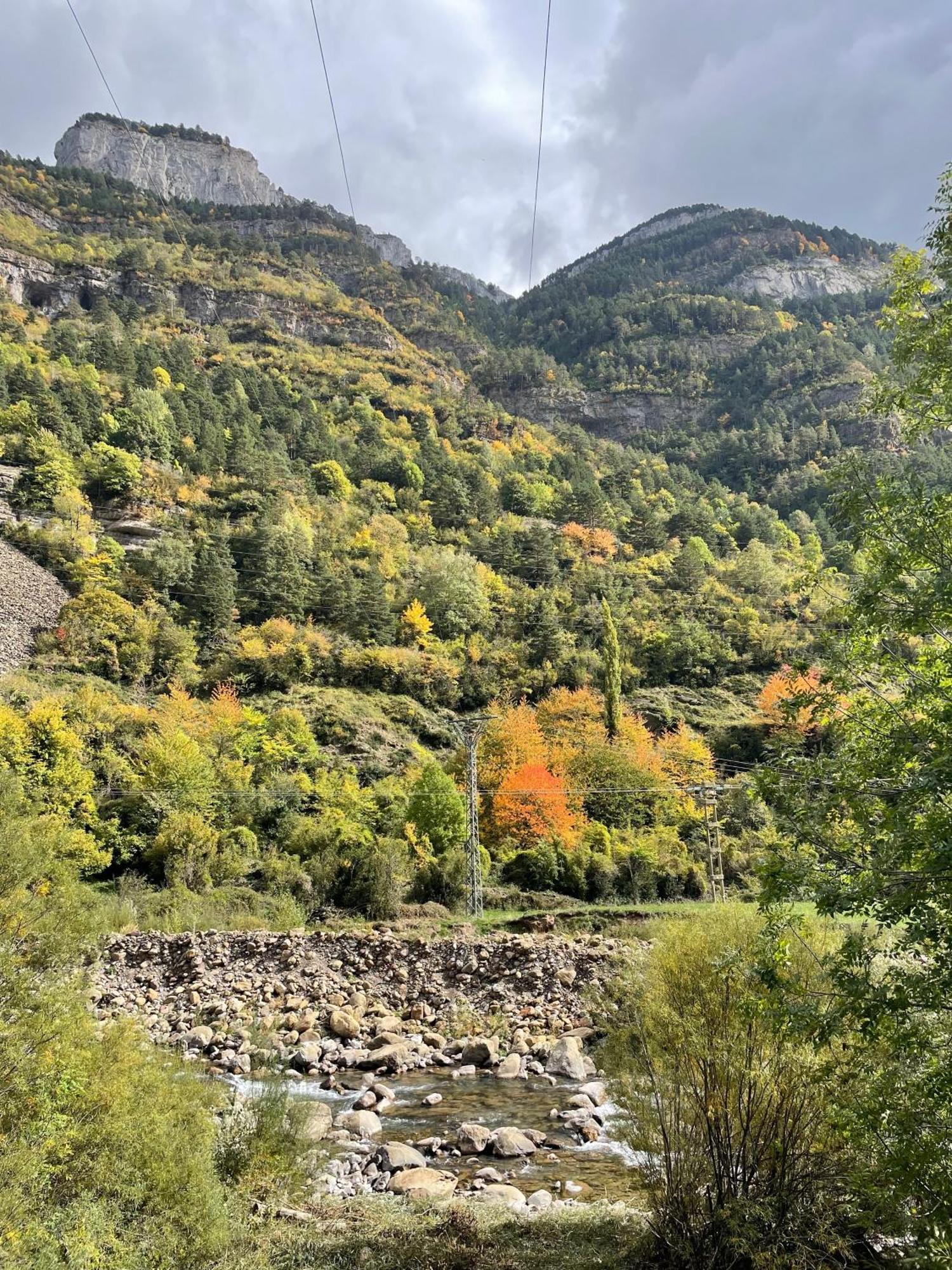 Calmfranc Atico Abuhardillado Con Vistas Al Rio Y La Montana Avistamiento De Ciervos En Canfranc Pueblo Εξωτερικό φωτογραφία